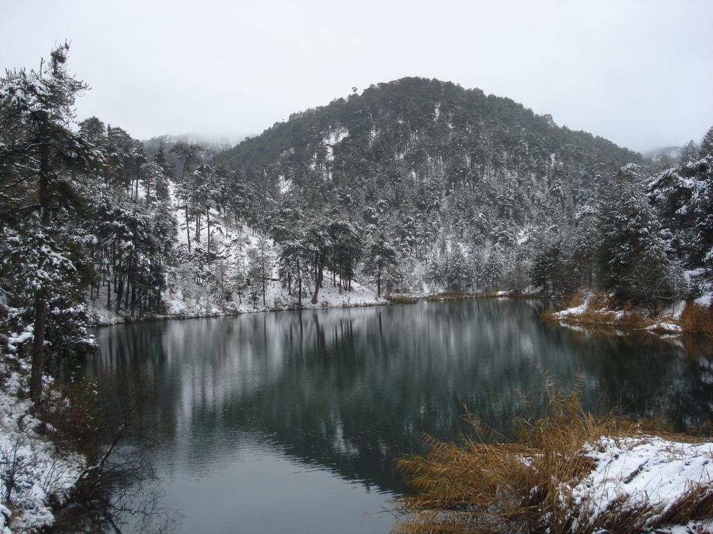 Hotel Rural Montana De Cazorla Arroyo Frio Bagian luar foto