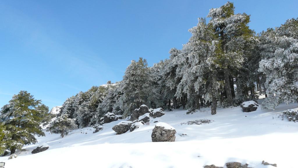 Hotel Rural Montana De Cazorla Arroyo Frio Bagian luar foto